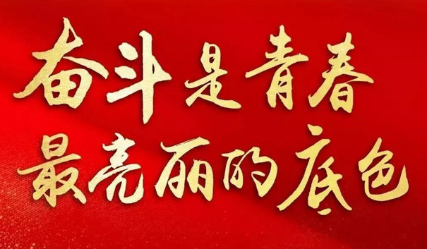建机制 搭平台 聚合力 激活小区治理“红色细胞”